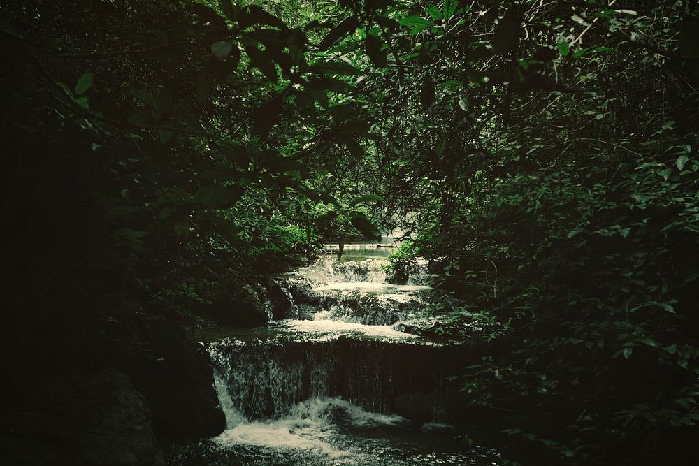 Quiet waterfall deep inside the jungle