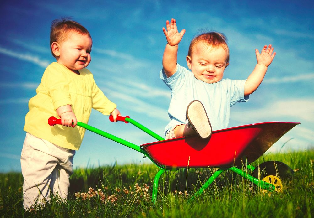 Two toddlers playing in a wheelbarrow