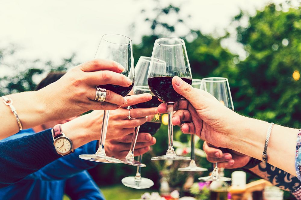 Friends toasting at a garden party