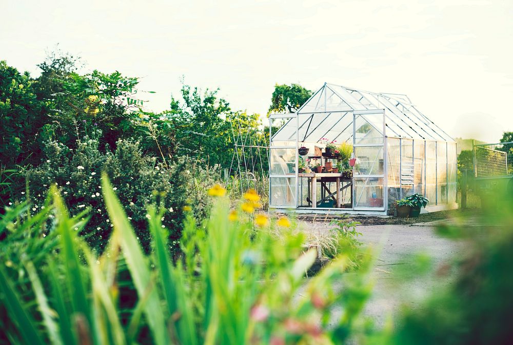 Greenhouse in an idyllic garden