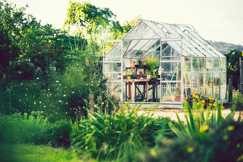Greenhouse in an idyllic garden