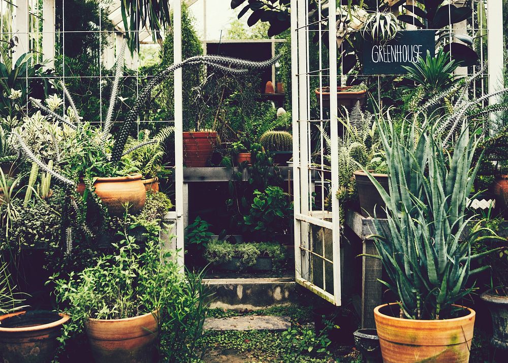 The entrance of a lush greenhouse