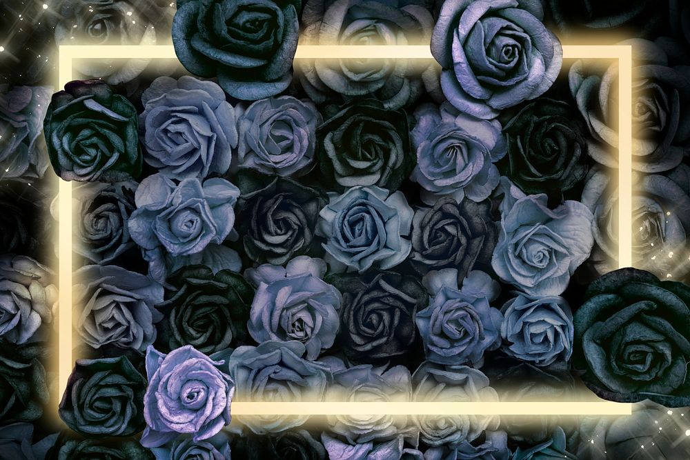 Illuminated rose border frame psd