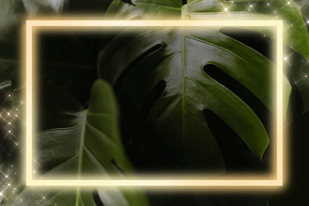 Psd monstera rectangle neon frame