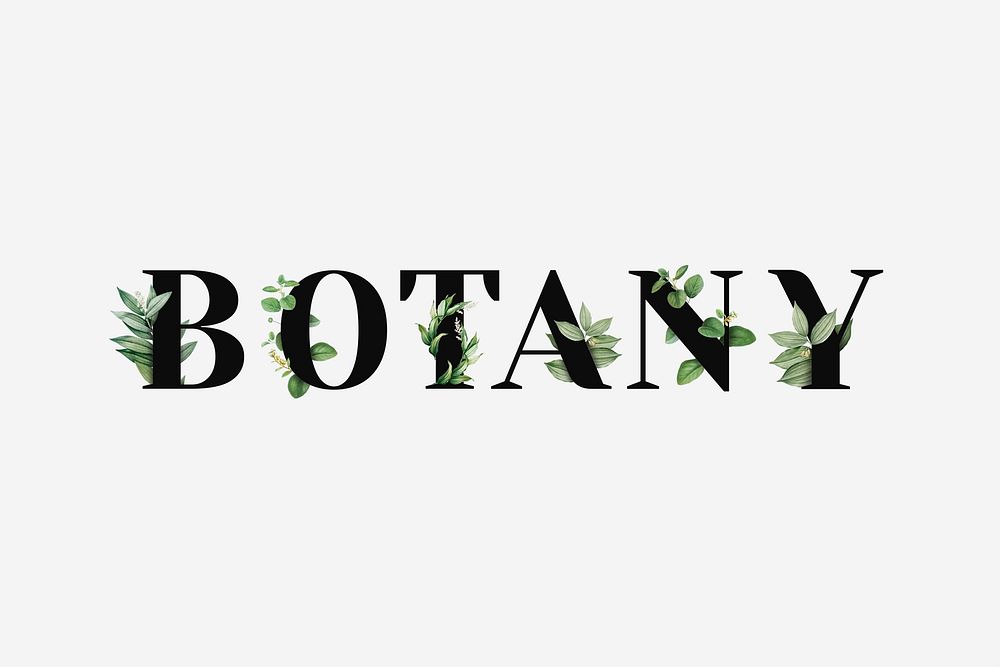 Botanical BOTANY psd word typography