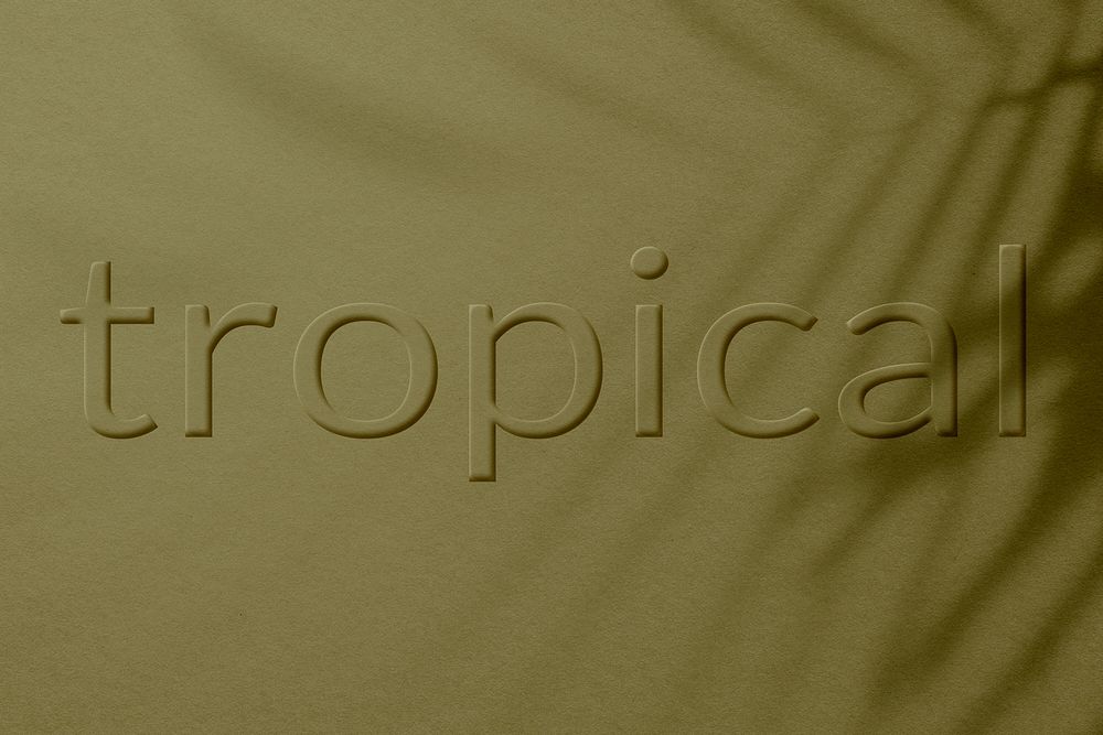 Tropical word embossed plant shadow textured font