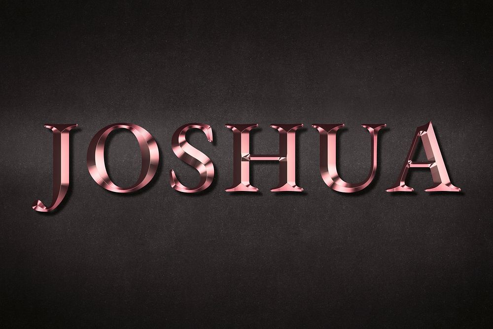 Joshua typography in rose gold design element