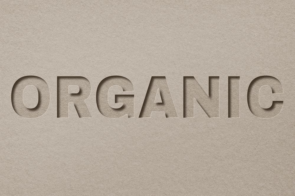 Organic paper cut font typography