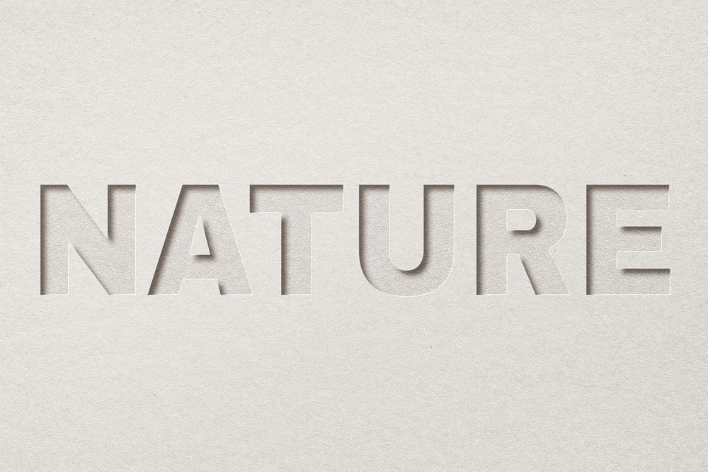 Nature word paper cut font typography