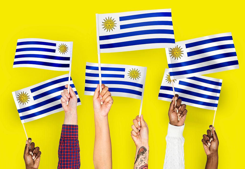 Hands waving the flags of Uruguay