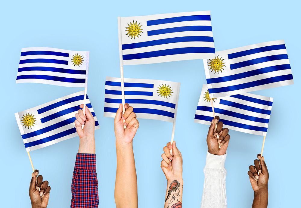 Hands waving the flags of Uruguay