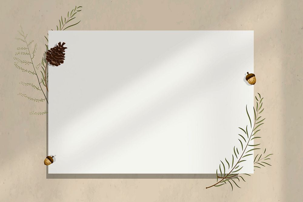 Wall blank paper frame with acorn decoration