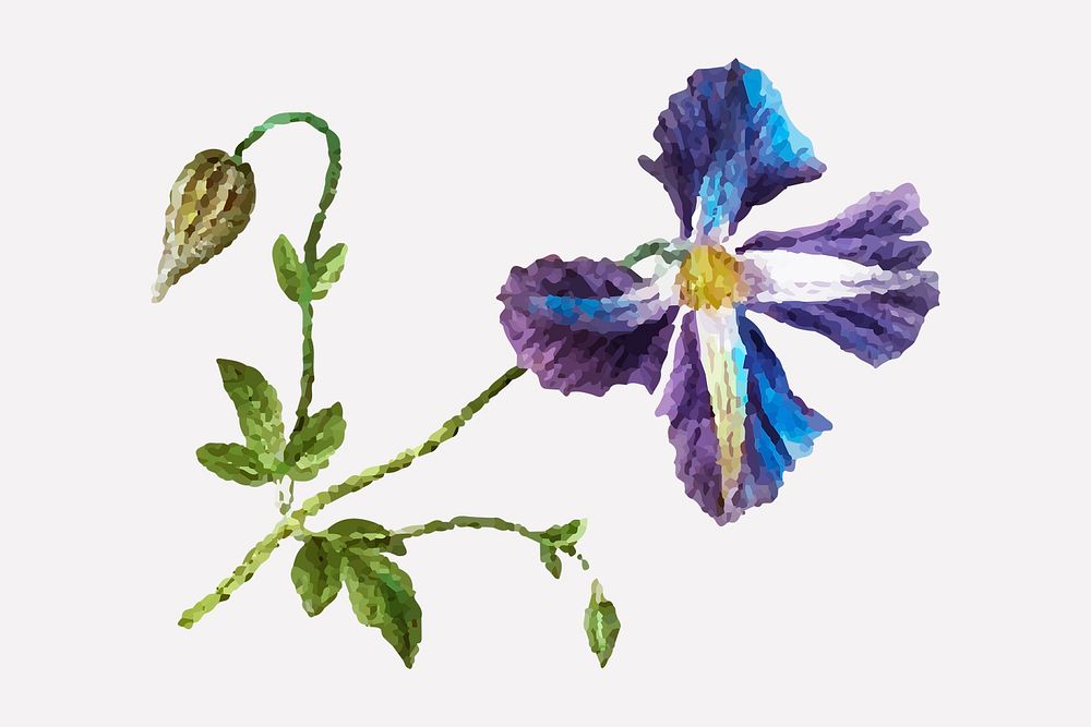 Vintage purple clematis psd flower hand drawn illustration