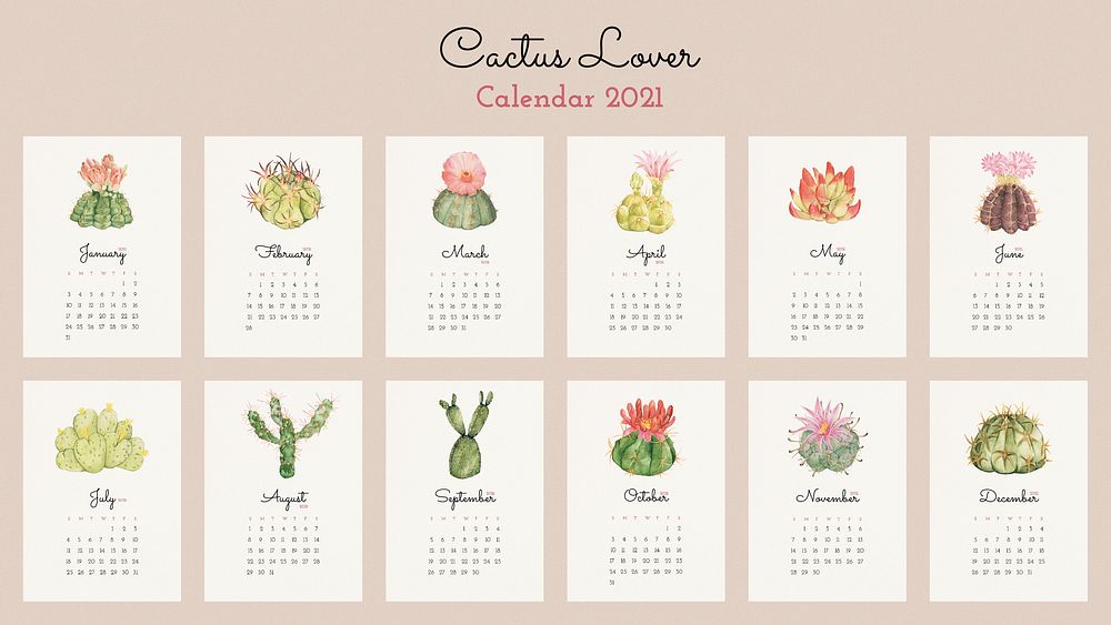 Calendar 2021 editable template vector with cute hand-drawn cactus set