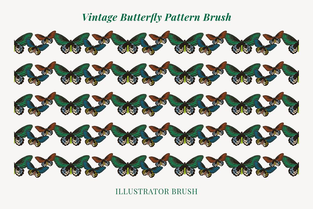 Butterfly pattern illustrator brush vector add-on set