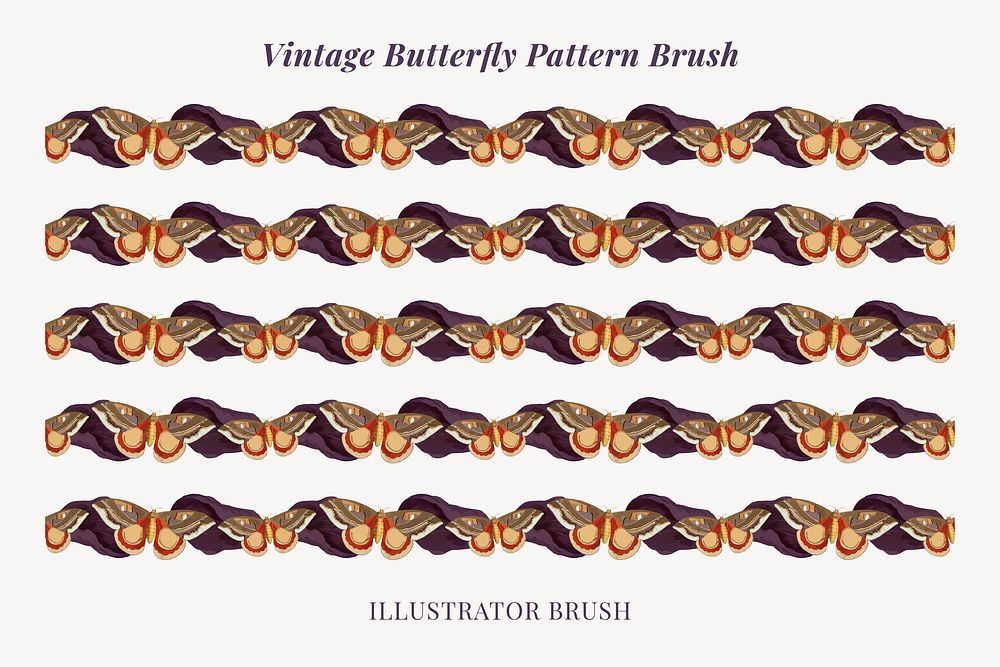 Butterfly illustrator brush vector seamless pattern set