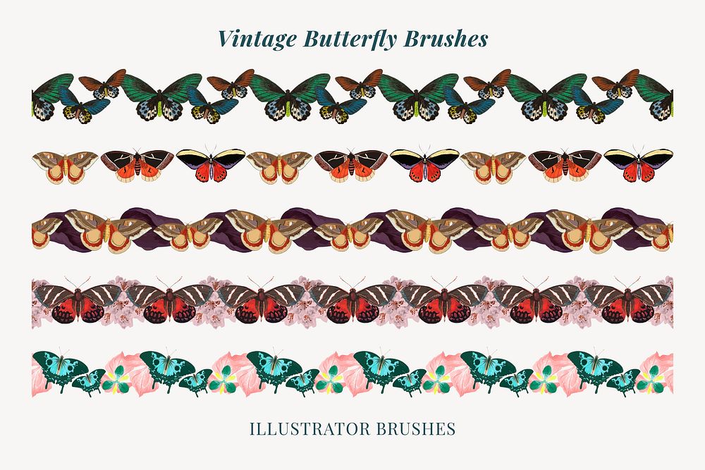 Butterfly pattern illustrator brush vector add-on set