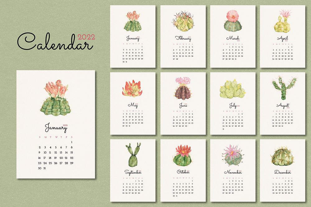 Cactus 2022 monthly calendar template psd, botanical illustration set