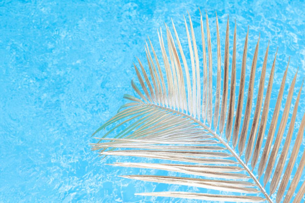 Summer wallpaper background palm leaf and pool, bright blue tone