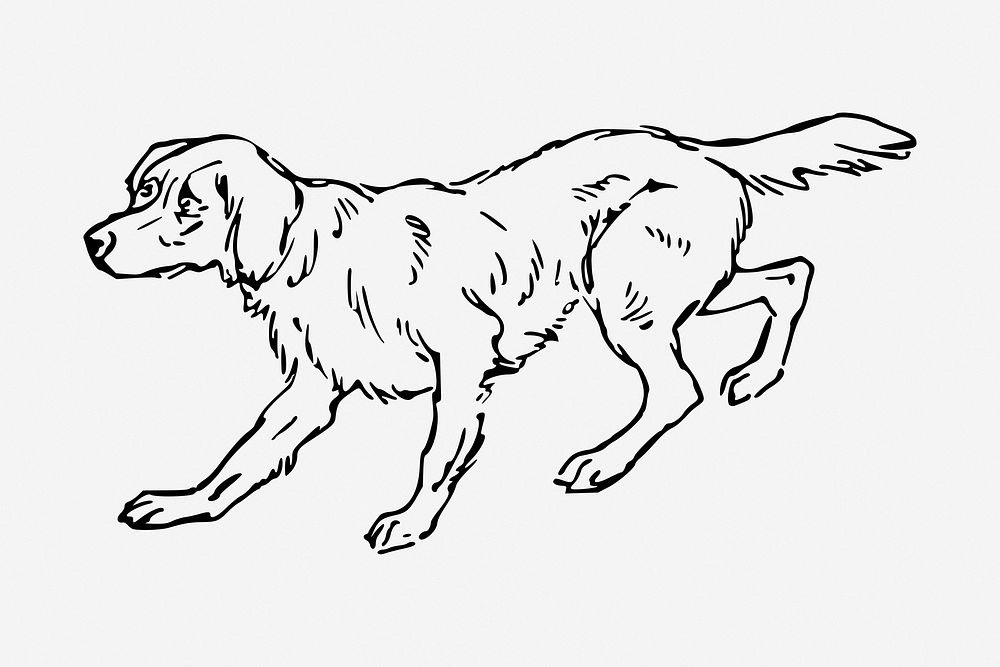 Scared dog drawing, vintage pet animal illustration. Free public domain CC0 image.