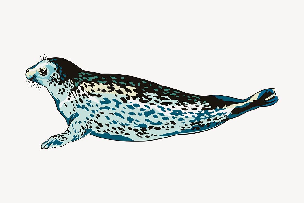 Seal clipart, sea life illustration. Free public domain CC0 image.