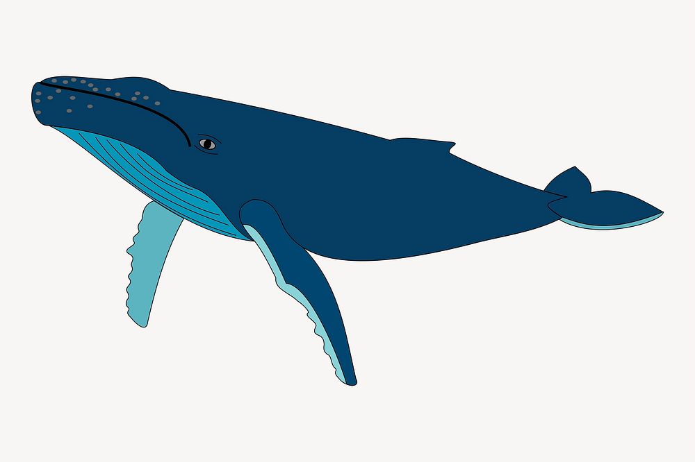 Humpback whale clipart, sea animal illustration. Free public domain CC0 image.
