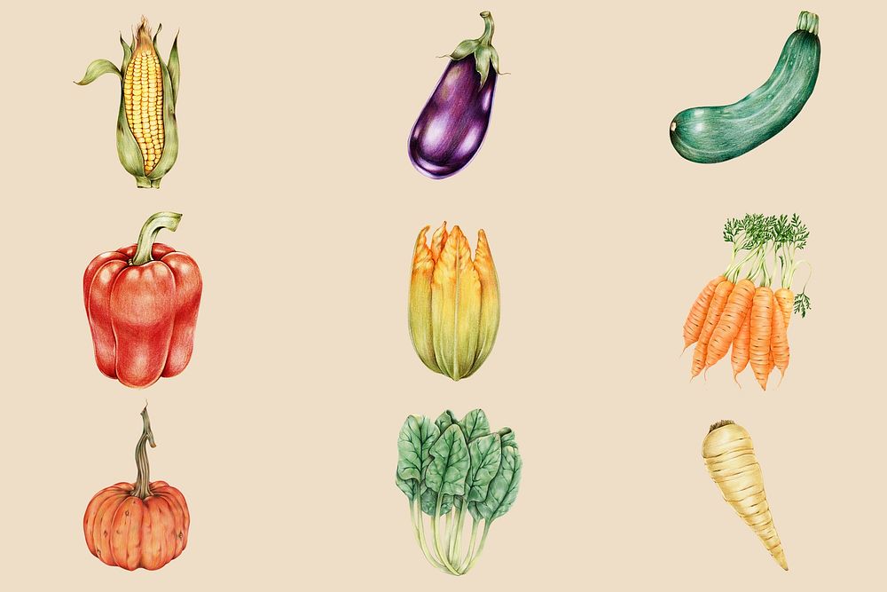 Organic vegetables vintage psd hand-drawn collection