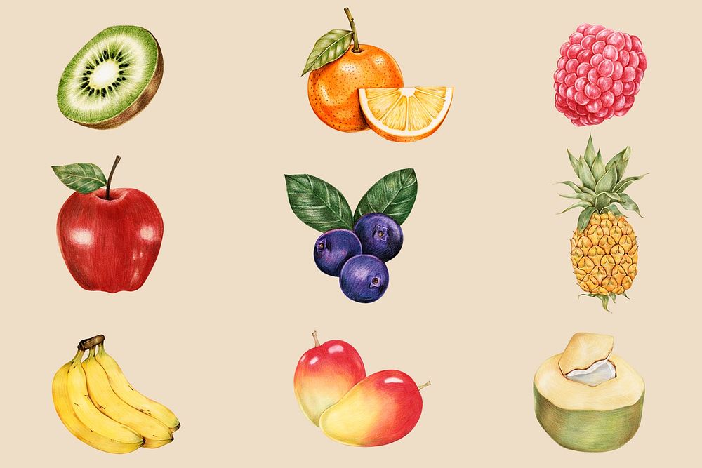 Summer fruits vintage psd hand-drawn collection