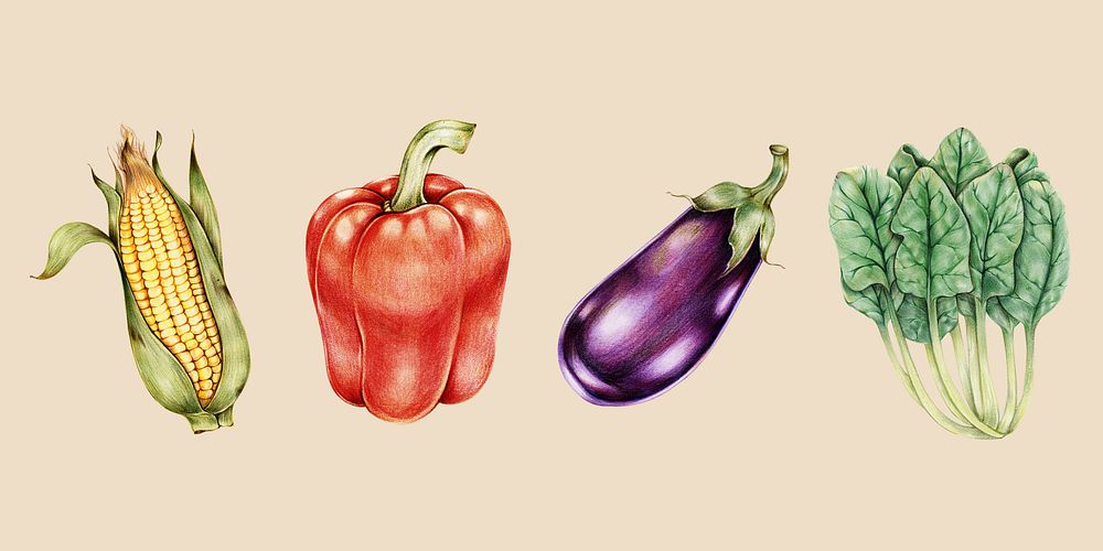 Organic vegetables vintage psd hand-drawn collection