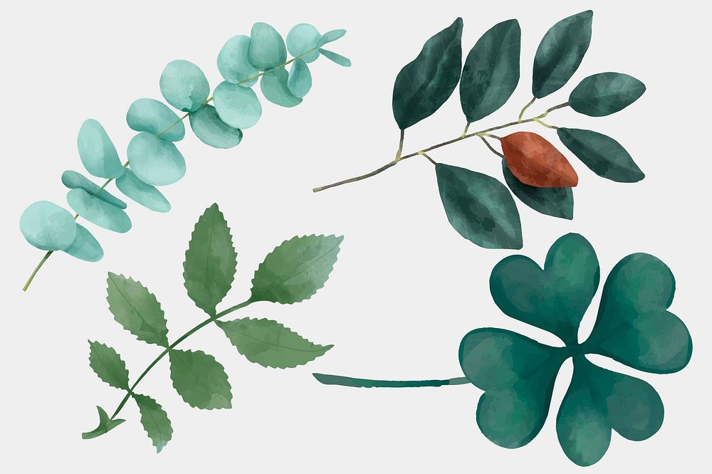 Watercolor leaves vector drawing clipart set