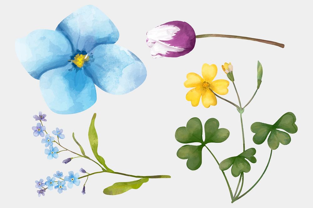Colorful blooming flowers watercolor illustration collection