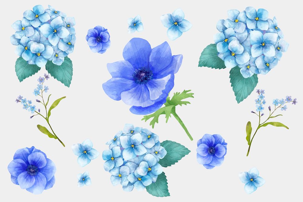 Watercolor blue flowers psd drawing clipart set