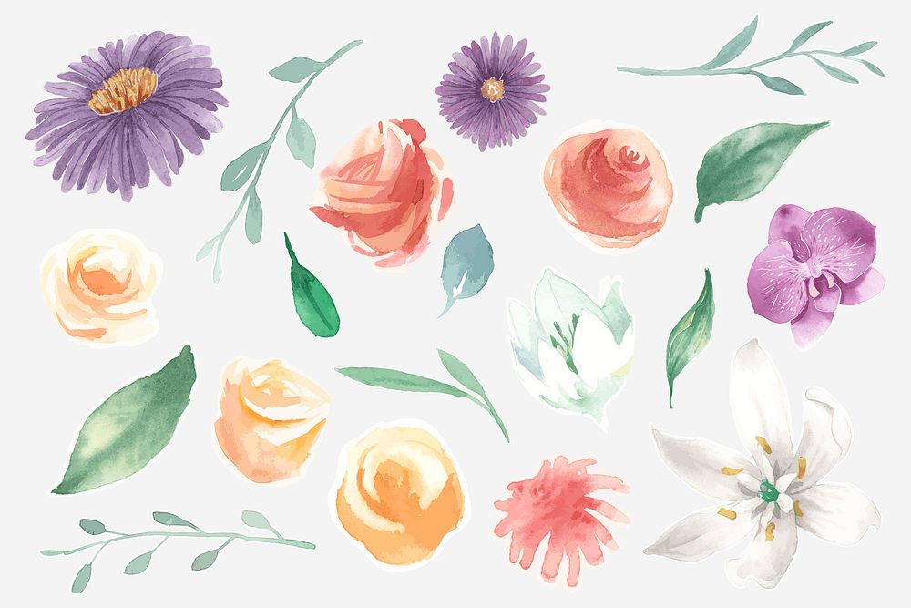 Hand drawn watercolor flower illustrations set