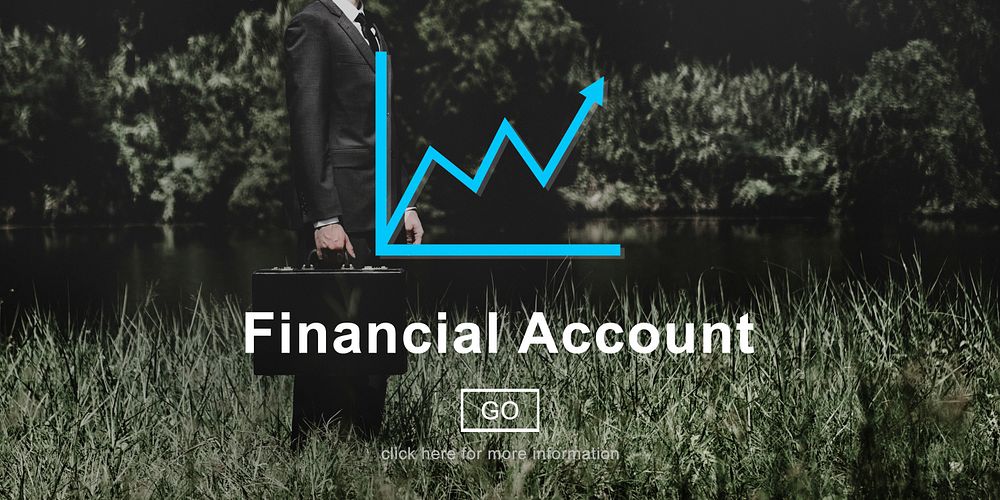 Financial Account Report Finance Record Online Concept