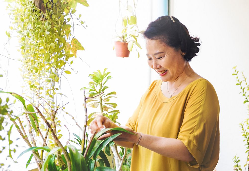 Asian woman hands wiping houseplants leaves
