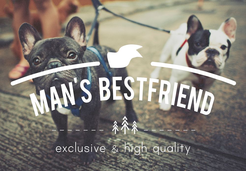 Puppies Pets Man's Bestfriend Concept