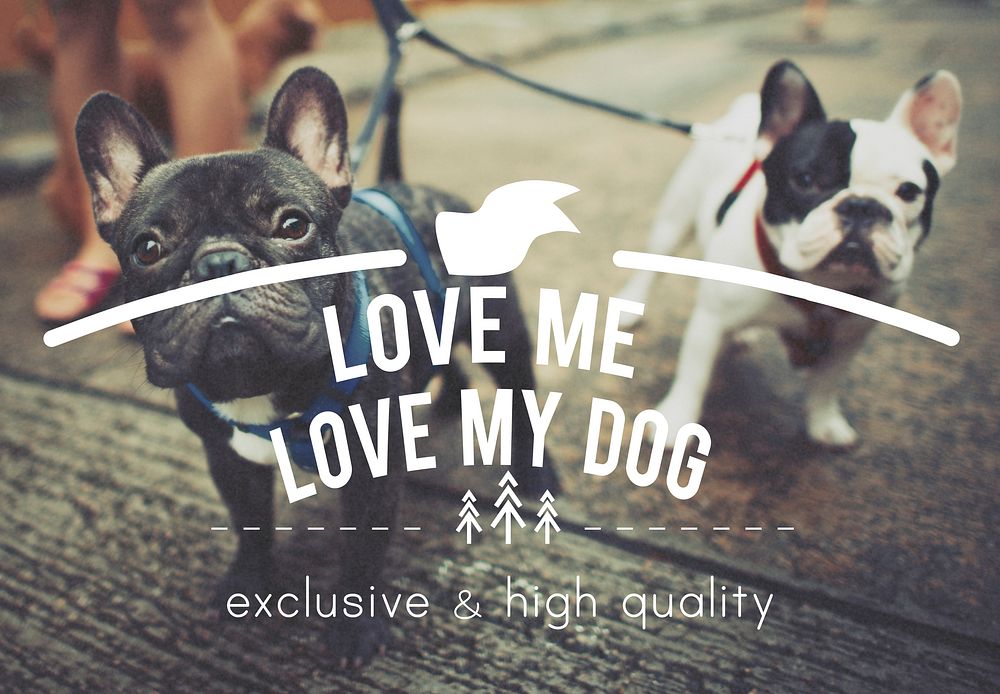 Love Me Love My Dog Carefree Conditions Ideas Concept