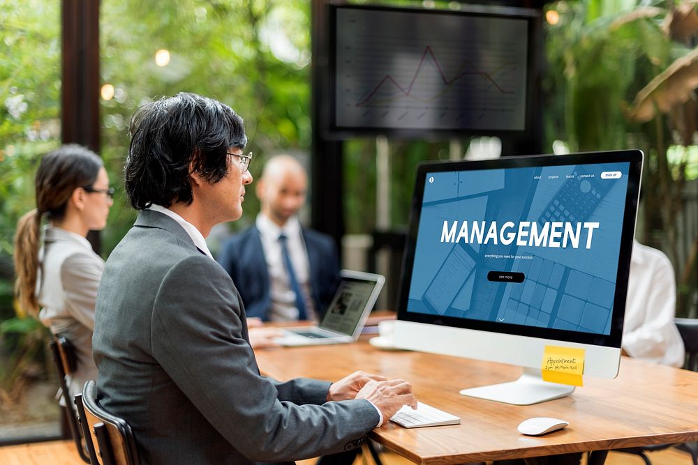 Management Organization Strategy Business Process