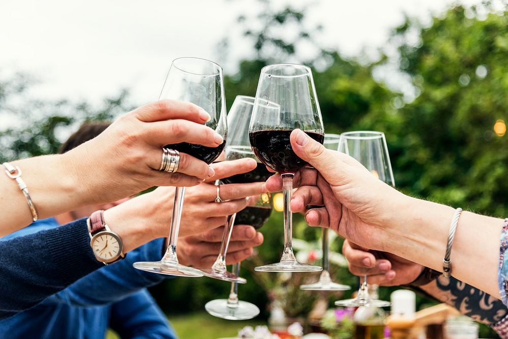 Group of people toasting wine glasses