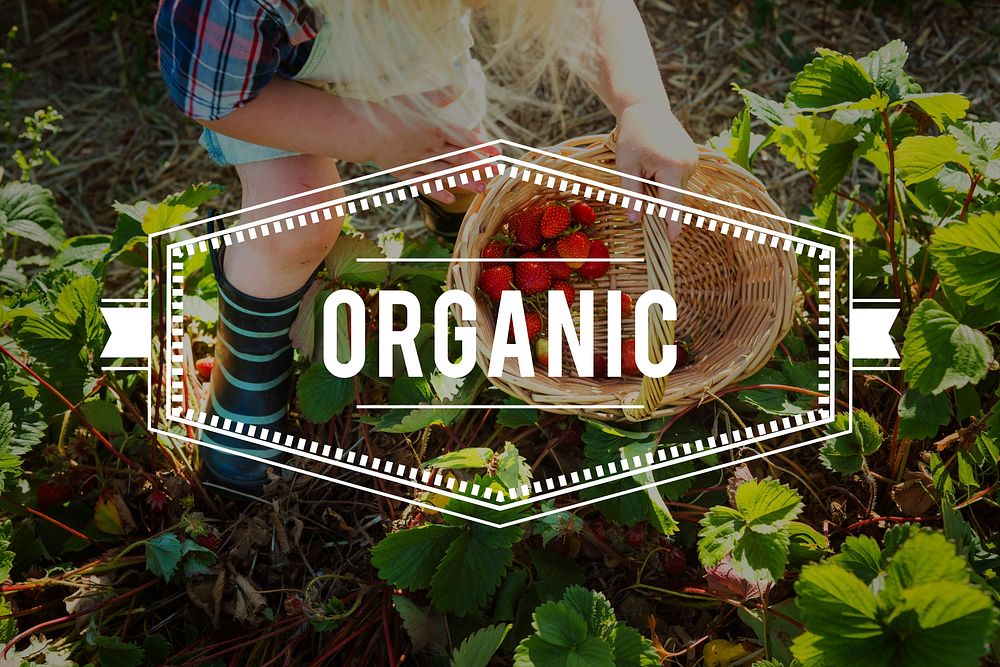 100% Nature Organic Freshly Picked Healthy Eating