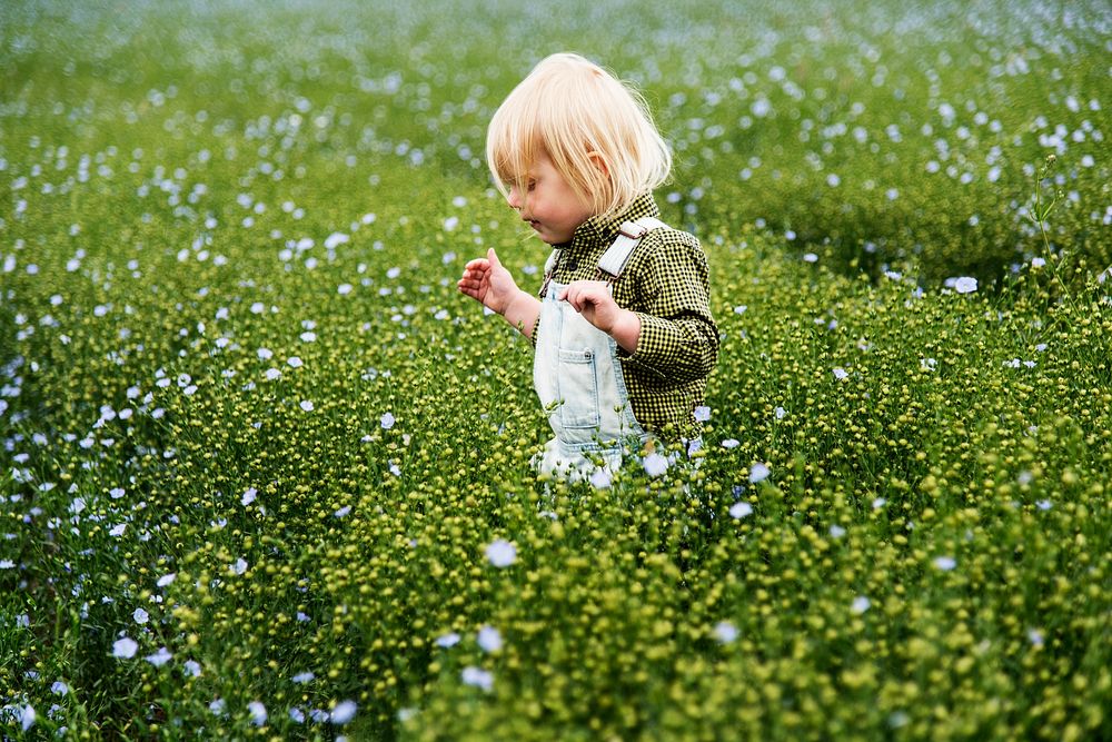 Kid in flower field
