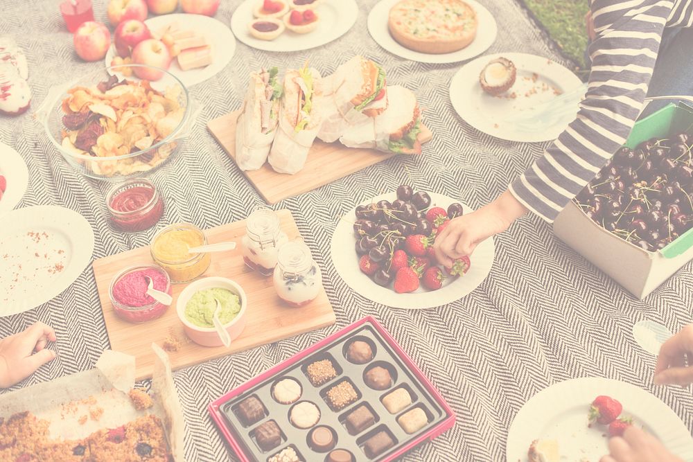 Picnic Lunch Meal Outdoors Park Food Concept