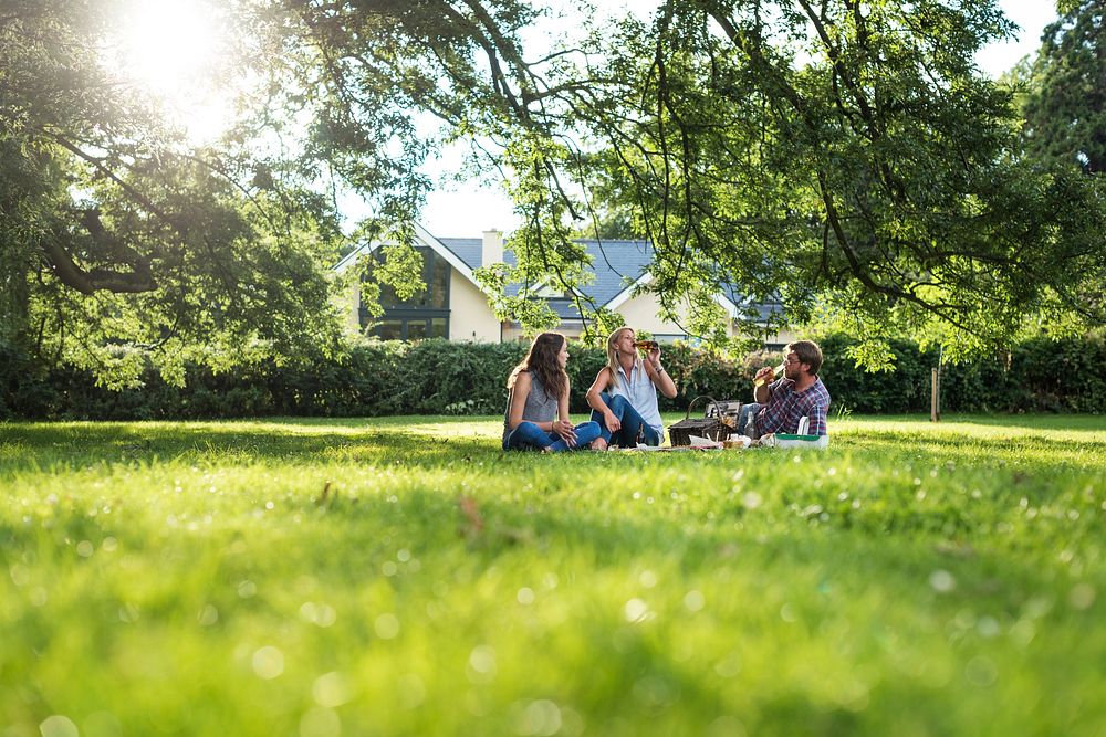 Family Picnic Outdoors Togetherness Relaxation Concept