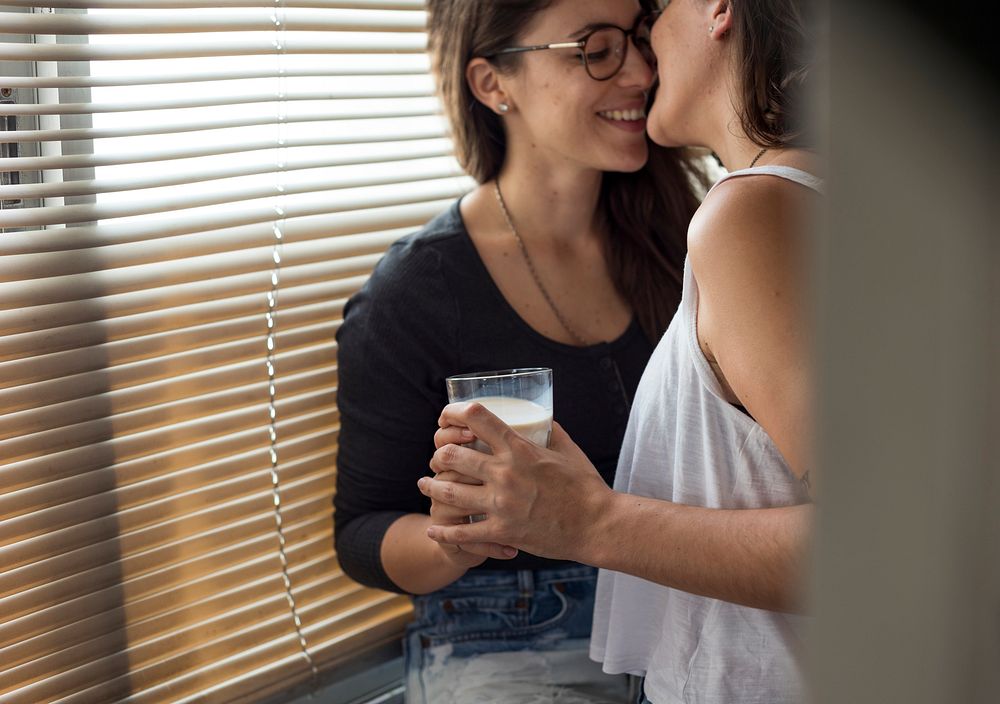 Lesbian Couple Together Indoors Concept