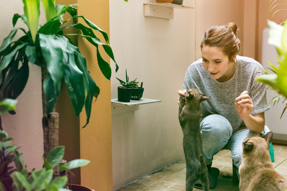 Woman Playing With Cat Holiday