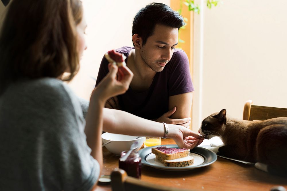Couple having breakfast with cat