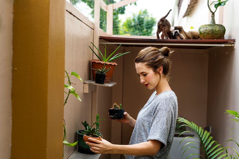 Woman Holiday Houseplant Gardener