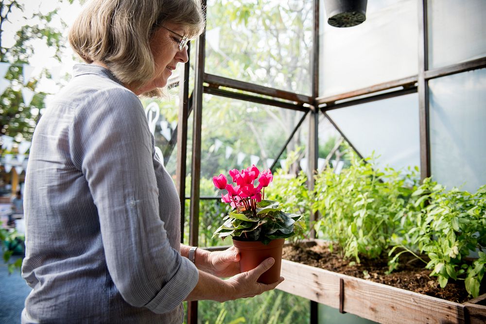 Elderly lady with a flower pot in a greenhouse