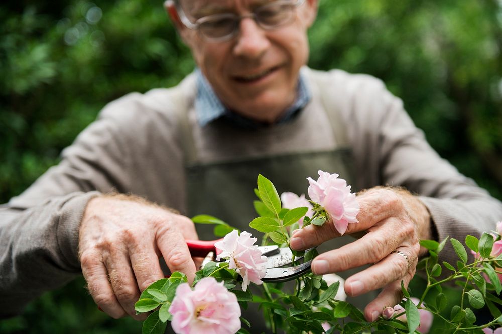 Elderly man flower gardening