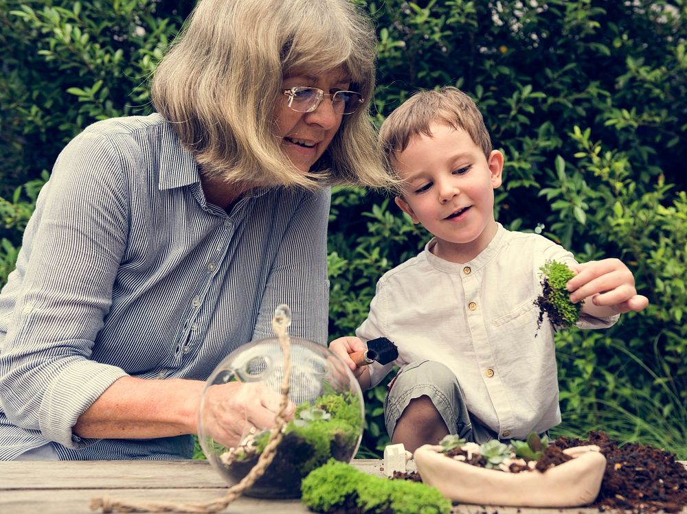 Botanical Environment Greenery Pottery Nature